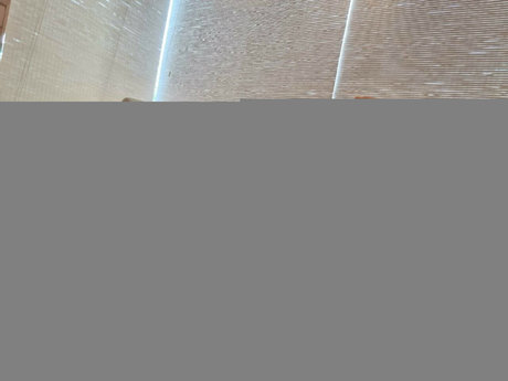 Jessie Rogue nackten pornostar galerien