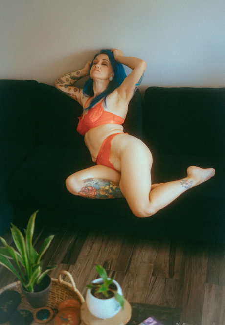 mscooky kunst kostenlose bilder