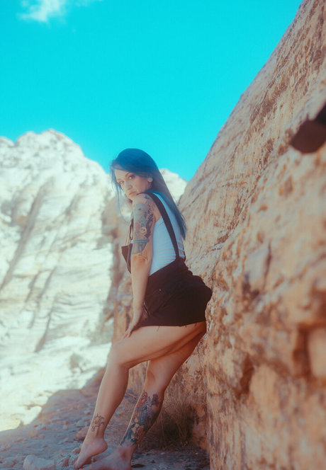 mscooky freie exklusive fotos