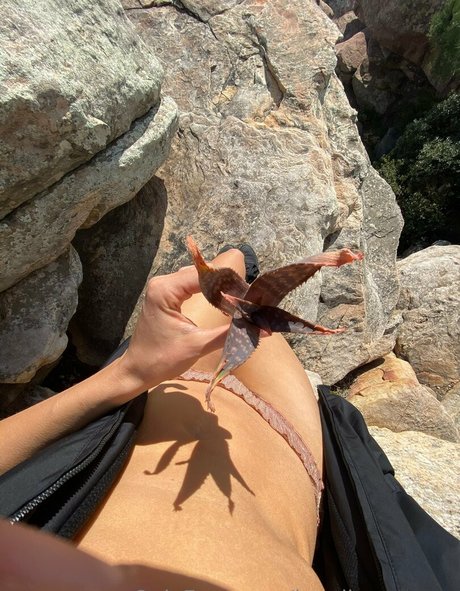 journalisten-onlyfans top xxx fotos