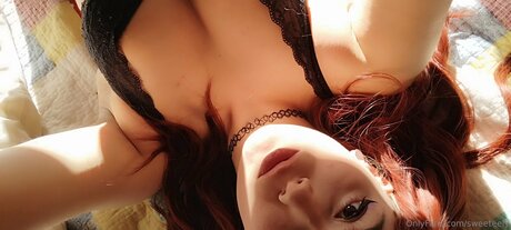 sweeteely kunst archiv