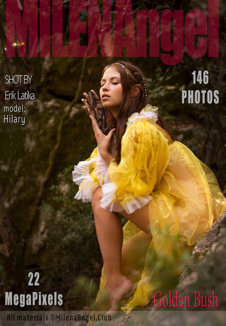 viktoriia aliko kunst nette archiv