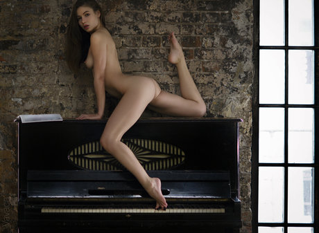 versehentlicher creampie nur fans erwachsene freie bilder