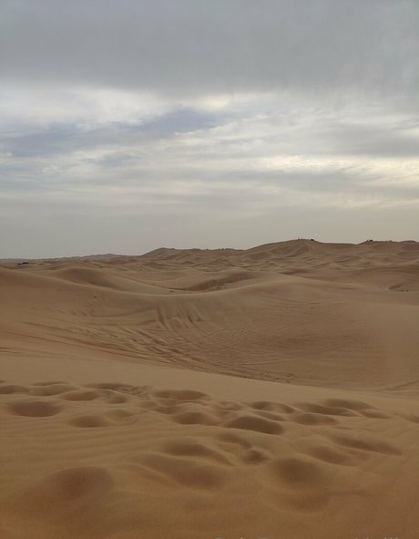 dejiko erotische xxx bild