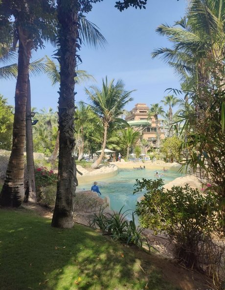 dejiko heiße schöne galerien