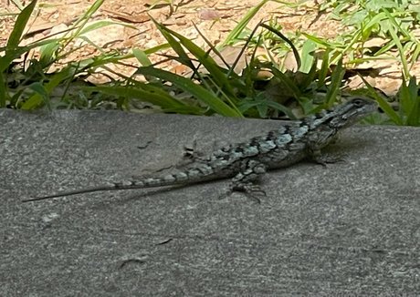 unterwürfige onlyfans erwachsene kostenlose bilder