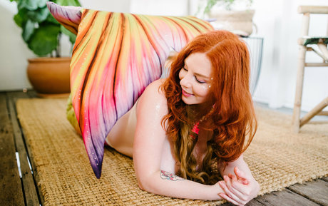 avalonfey kunst heiße galerie