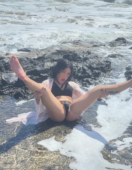 lilyuw888 freie hd bild