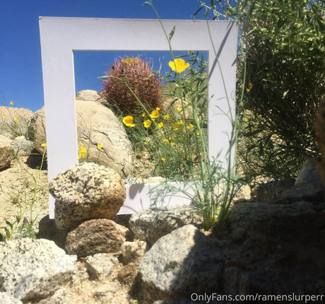 Marie Sweets pornostar akt bilder