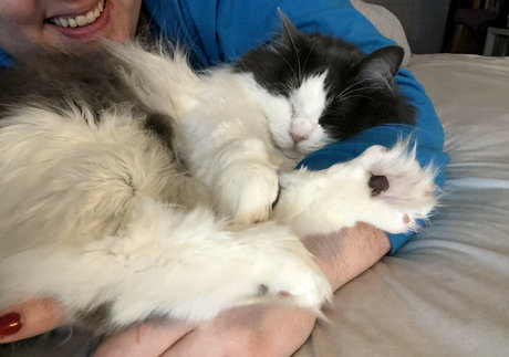 Marie Sweets schöne perfekte galerie