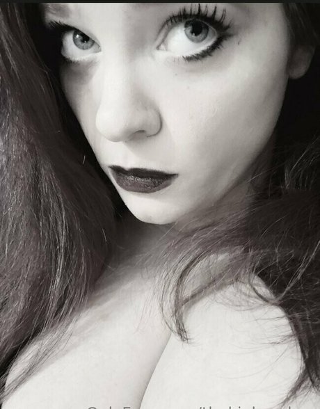 thekinkyzebra pornostar freie galerie