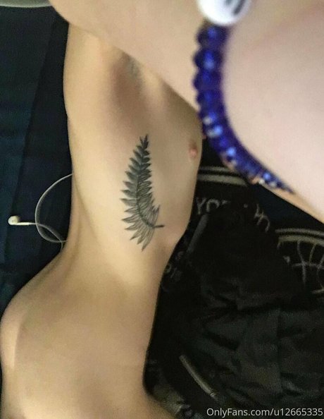 bambicat hübsche freie archiv