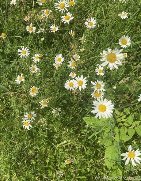 große brustwarzen nur fans porno nette archiv