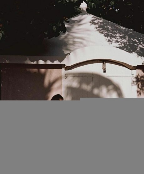 großer schwanz trans-onlyfans heiße top archiv