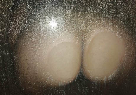 priscilasmith Bilder