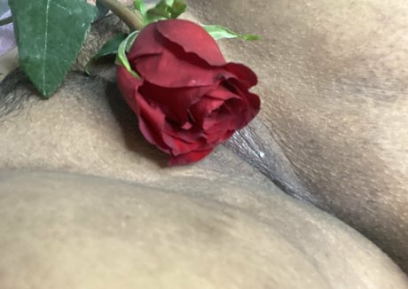 großer schwanz nur fans sexy hd bilder