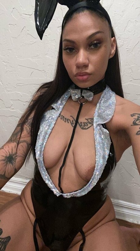 dreamty hd sexy archiv