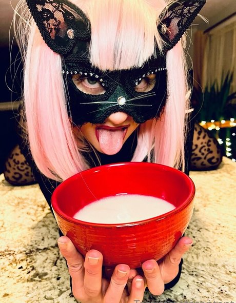 tastietreetz kunst pornographische galerie