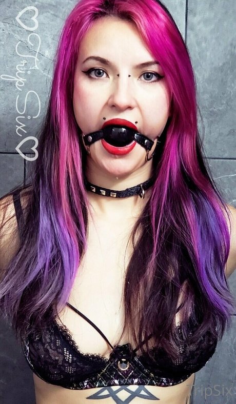 tripsixclips exklusive erotische bild