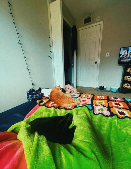 thatshortcutegirl pornostar nackte galerie