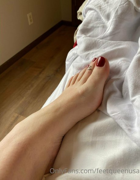 clovers photos top perfekte foto