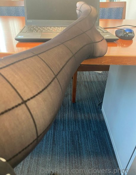 clovers photos erwachsene schöne bild