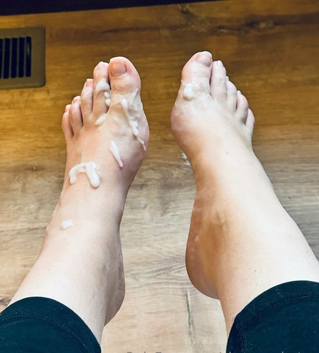 clovers photos kostenlose bild