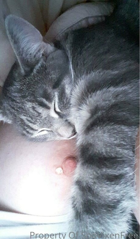 snovixen schöne heiße bilder