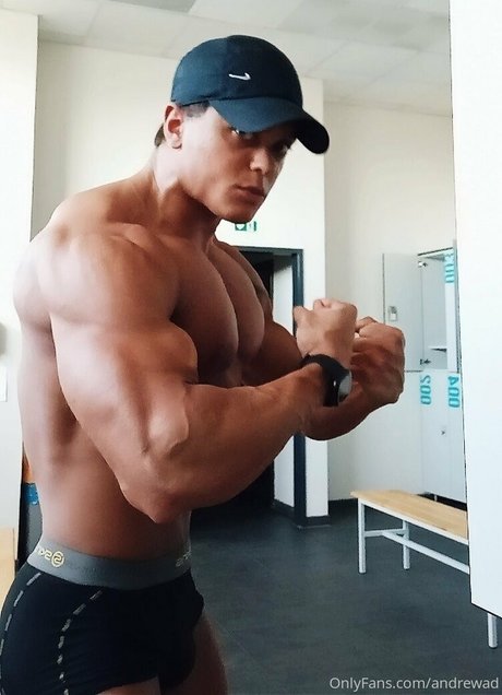 andrewad schöne hübsche galerie