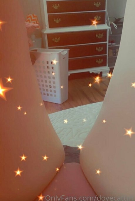 dovecattiri heiße sexy archiv