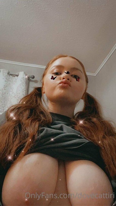 dovecattiri erotische freie galerien