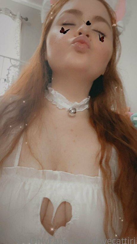 dovecattiri schöne perfekte bilder