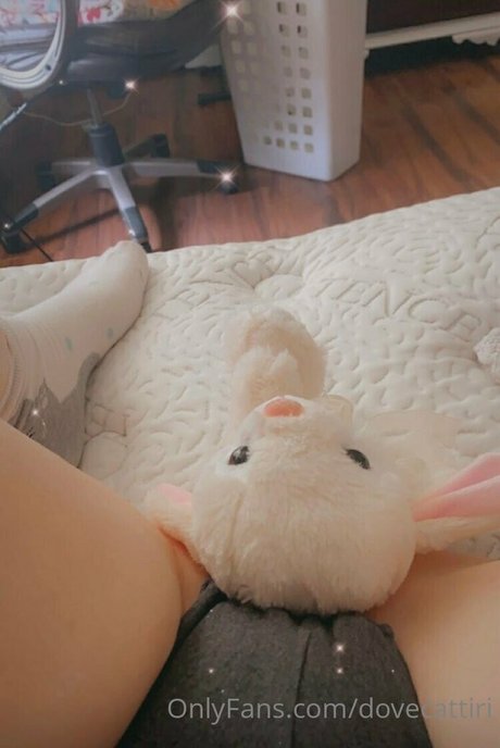 dovecattiri erwachsene porno bild