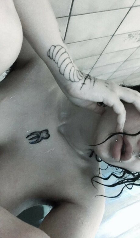 vyrkolaka top akt archiv