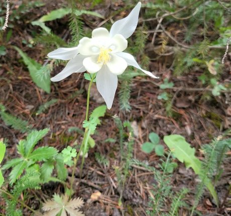 reife pawg-onlyfans nackt schöne foto