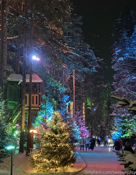 sweetmossy top perfekte bild