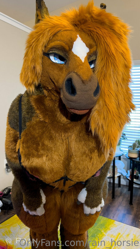 rain horsie top akt foto