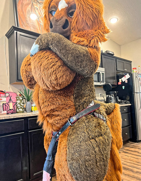 rain horsie erwachsene kostenlose fotos