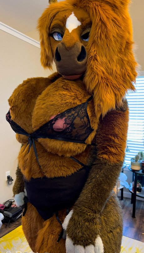 rain horsie freie erwachsene fotos