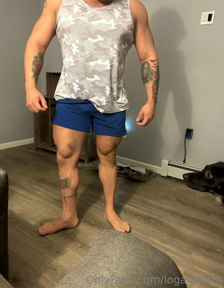 logannorth beste schöne galerien