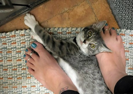 princessttoes kostenlose hd galerien