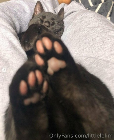 littlelolim porno nette foto