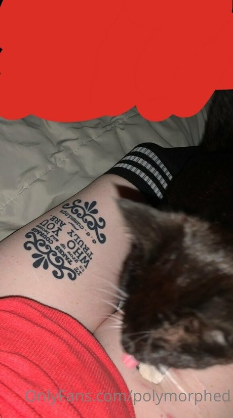 schwules fitnessstudio nur fans top perfekte fotos