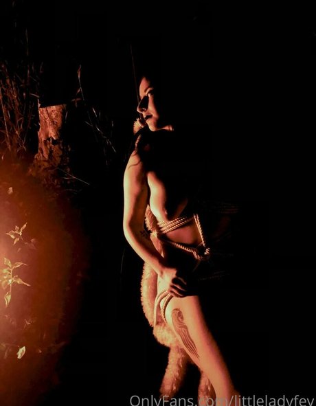 littleladyfey top hd bild