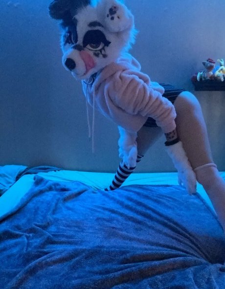 großer schwanz trans-onlyfans xxx pornografische galerien