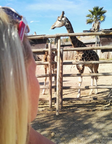 kathianobilixx hd pornografische bilder