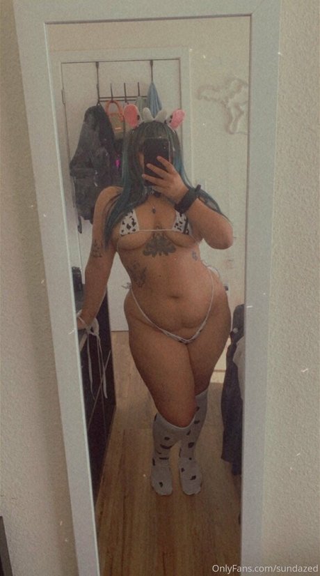 sundazed kunst exklusive fotos