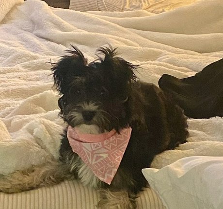 amateur blondine nur fans porno freie fotos