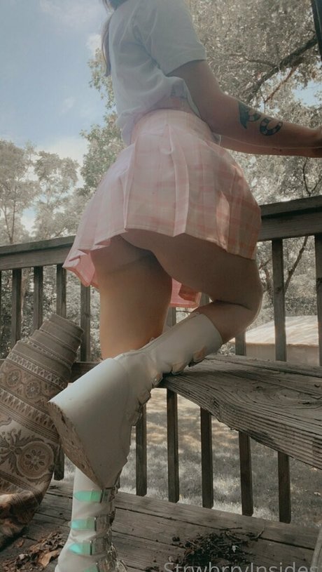 viinusflytrap schöne kunst galerie