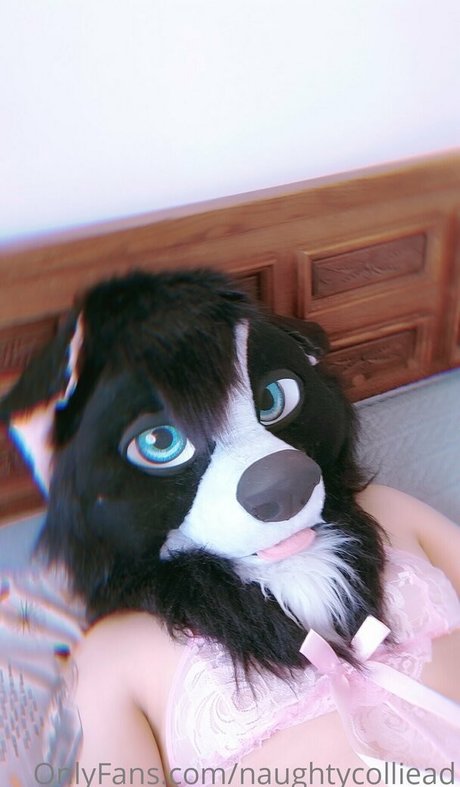 großer schwanz femboy onlyfans perfekte kunst galerien